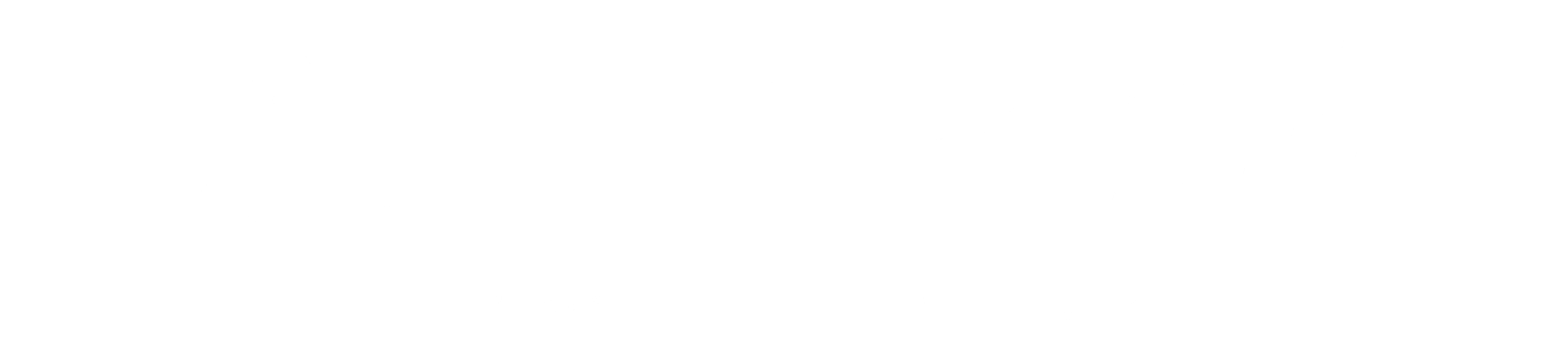 ליאור דה קמחי — Social Marketing